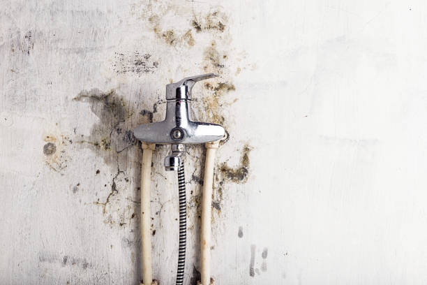 Best Water Damage Restoration  in Montgomery, TX