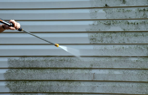 Best Mold Cleaning Services  in Montgomery, TX