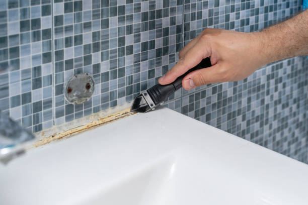 Best Mold Removal and Inspection  in Montgomery, TX