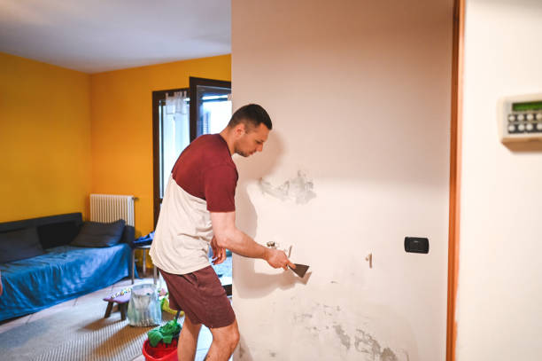 Best Mold Removal Company Near Me  in Montgomery, TX